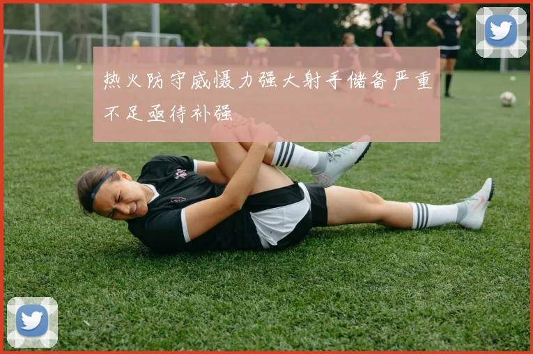 热火防守威慑力强大射手储备严重不足亟待补强