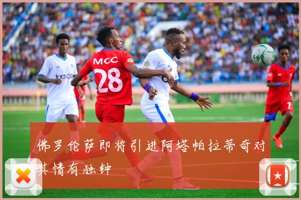 佛罗伦萨即将引进阿塔帕拉蒂奇对其情有独钟